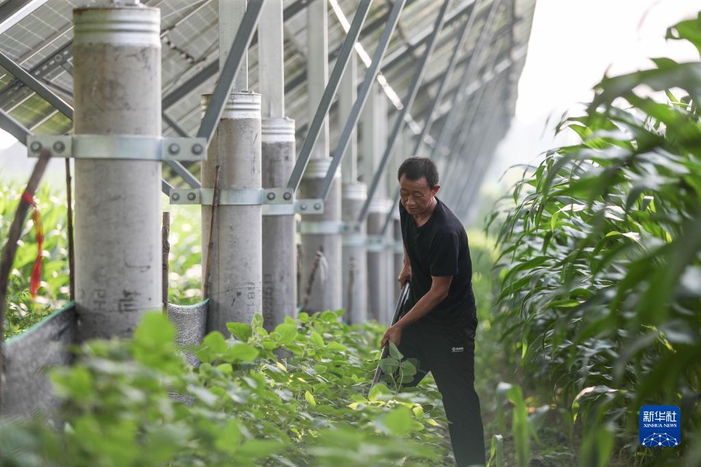 其乐老虎机qile166下载